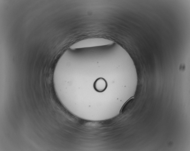 X0000112500133200909071254