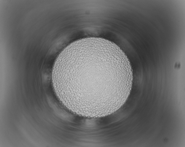 X0000112500134200909071254