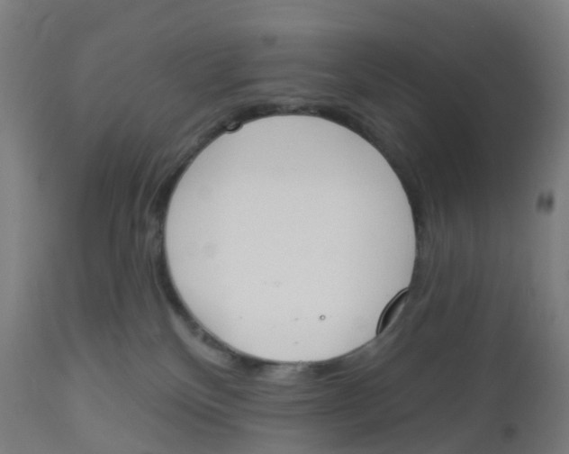 X0000112500136200909071254