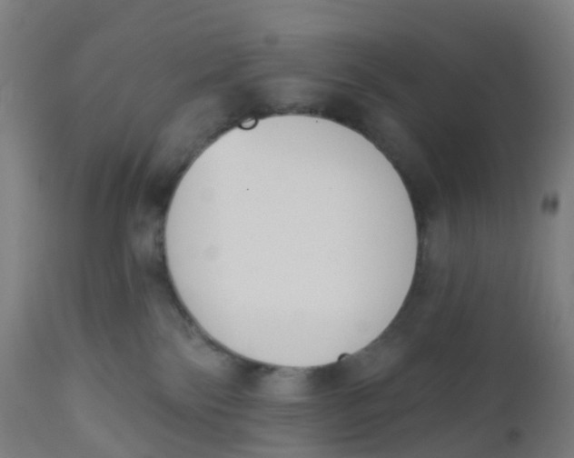 X0000112500138200909071254