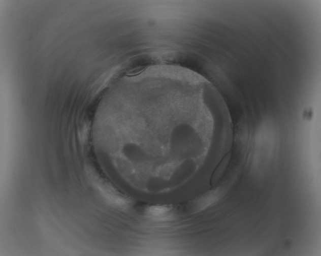 X0000112500139200909071254