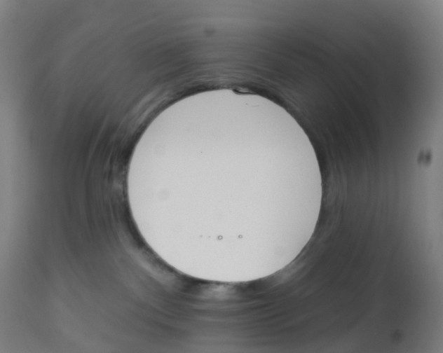 X0000112500140200909071254