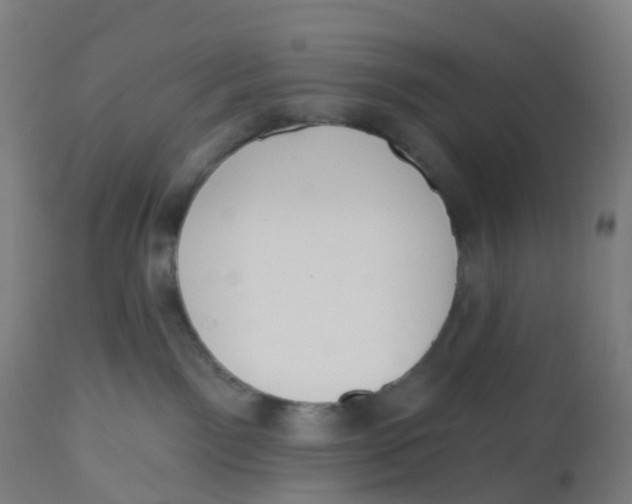 X0000112500141200909071254