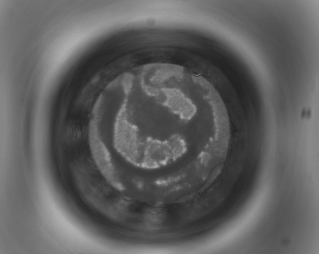 X0000112500143200909071254