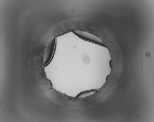 X0000112500144200909071254