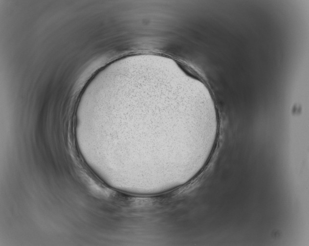 X0000112500145200909071253