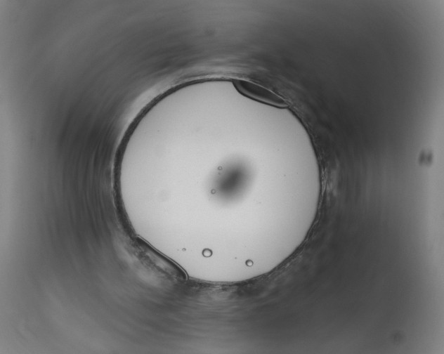 X0000112500148200909071253