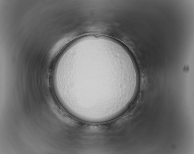 X0000112500149200909071253