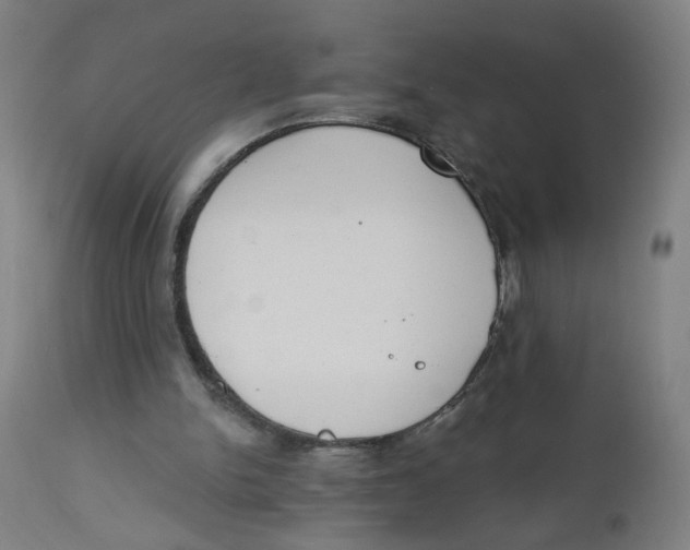 X0000112500150200909071253