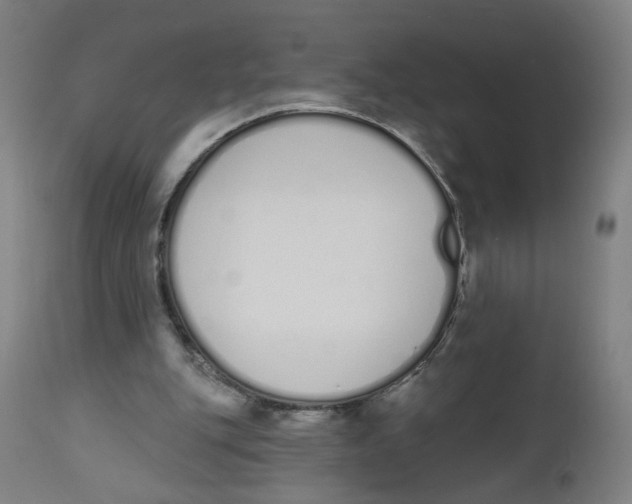 X0000112500151200909071253