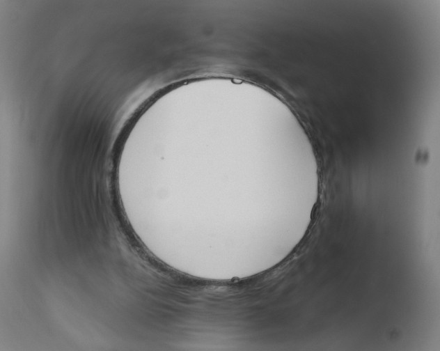 X0000112500152200909071253