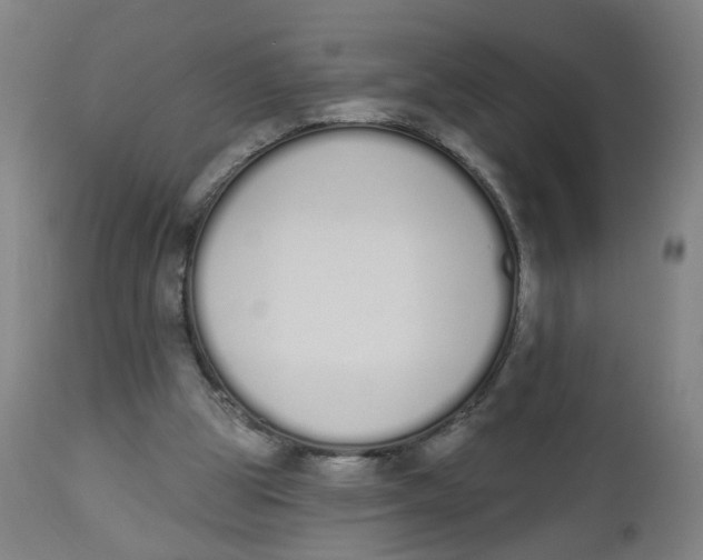 X0000112500153200909071253