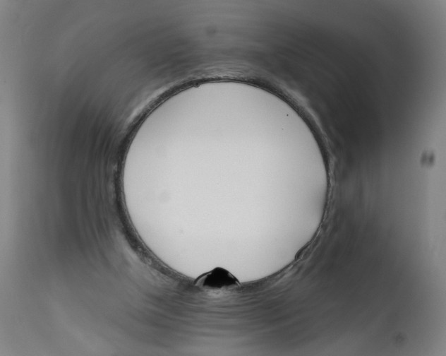 X0000112500154200909071253