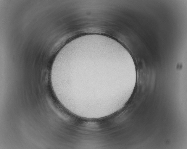 X0000112500157200909071253