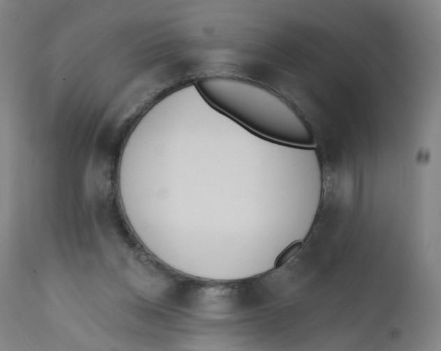 X0000112500158200909071253