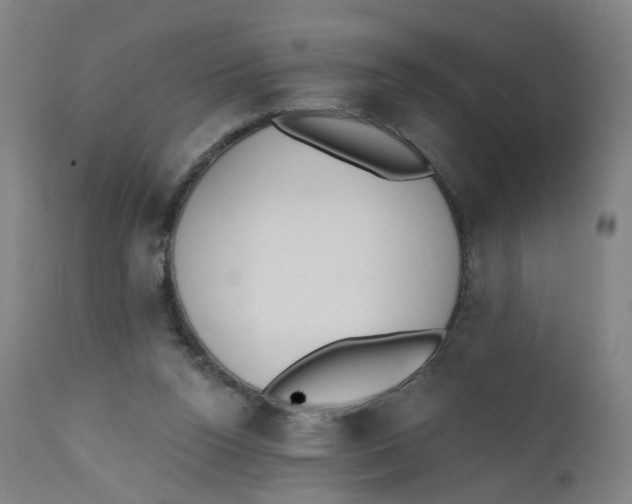 X0000112500160200909071253