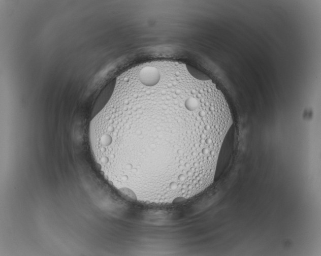 X0000112500161200909071253