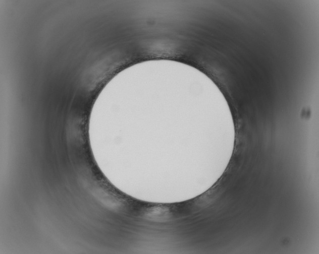 X0000112500162200909071253