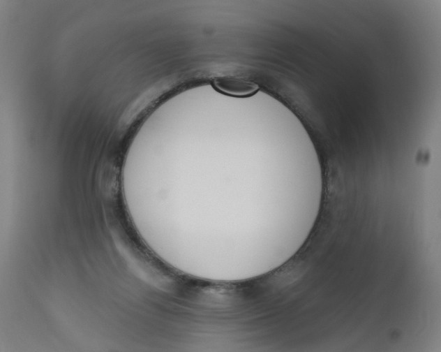 X0000112500164200909071253