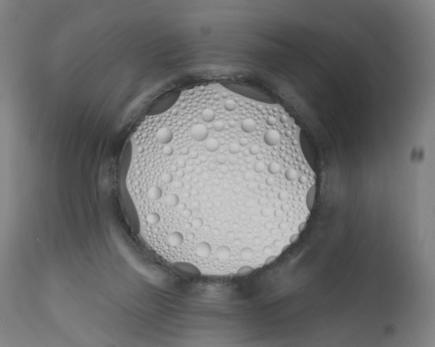 X0000112500165200909071253