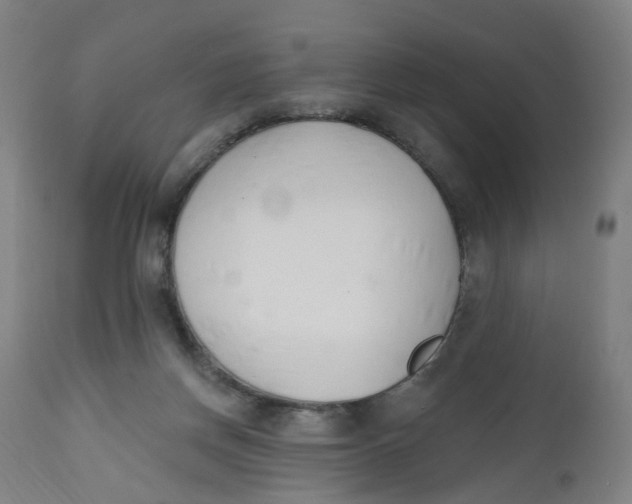 X0000112500166200909071253