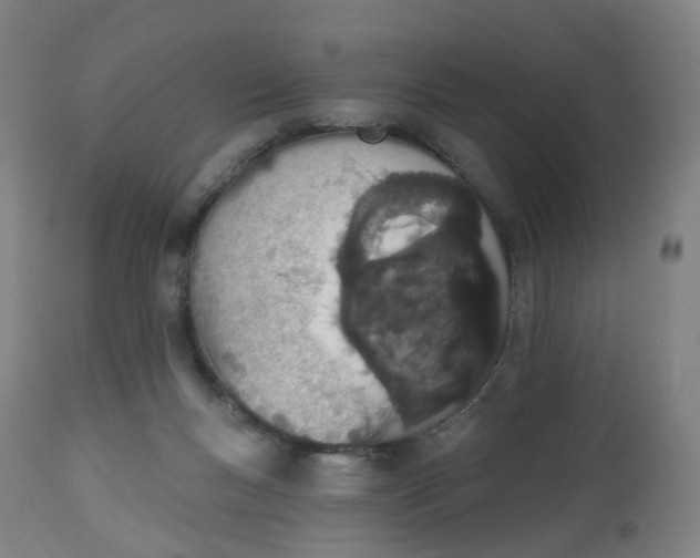 X0000112500167200909071253