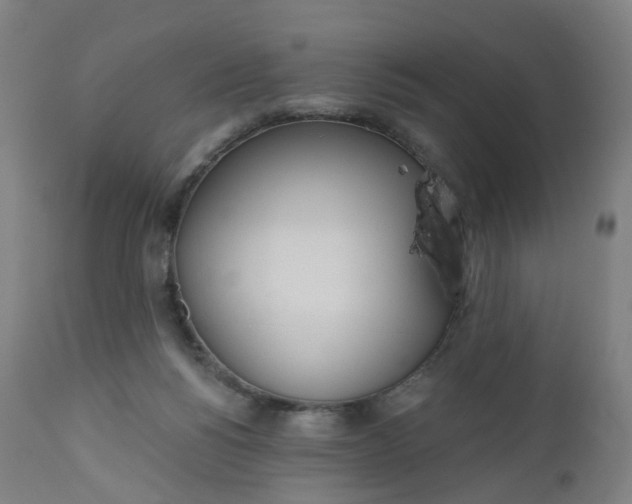 X0000112500168200909071253