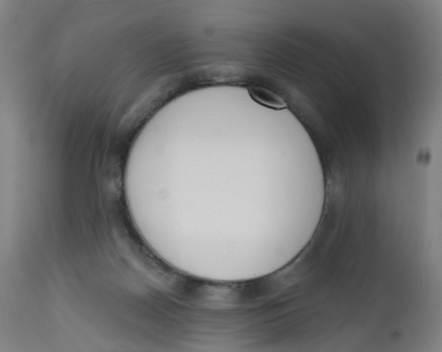 X0000112500170200909071253