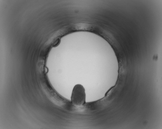 X0000112500171200909071253