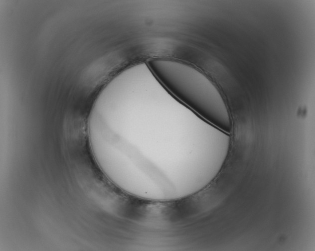 X0000112500172200909071253