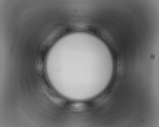 X0000112500173200909071253