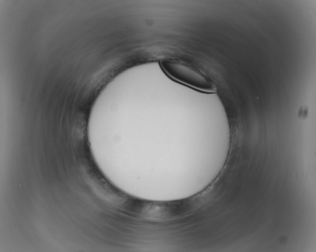 X0000112500174200909071253