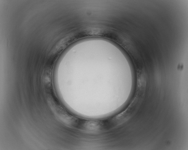 X0000112500175200909071253