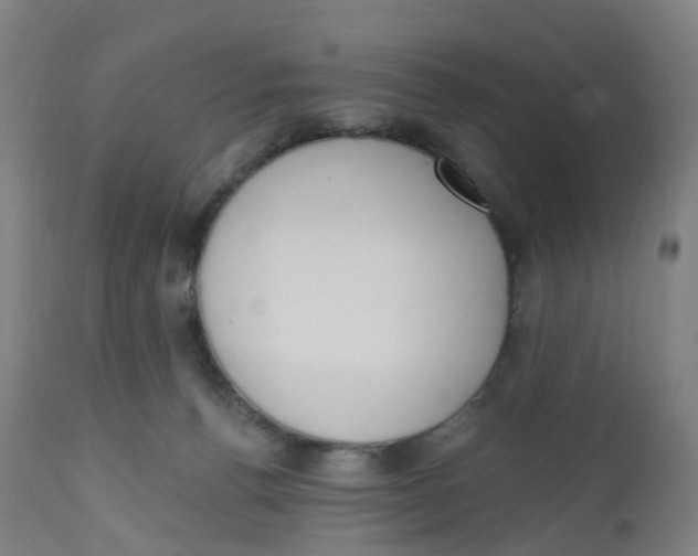 X0000112500176200909071253