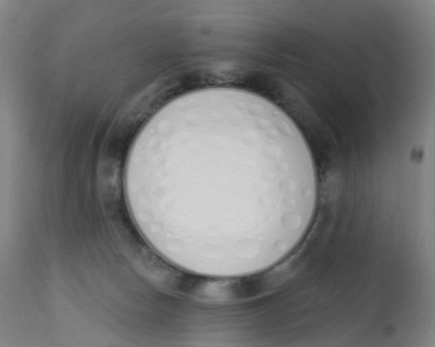 X0000112500178200909071253