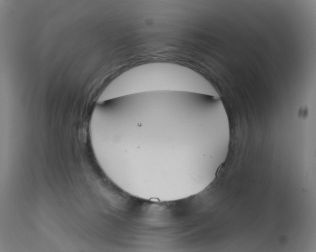 X0000112500180200909071253