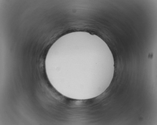 X0000112500184200909071254