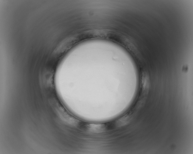 X0000112500185200909071254