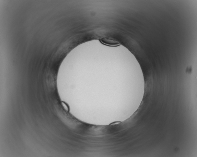 X0000112500186200909071254