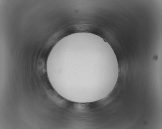 X0000112500187200909071254