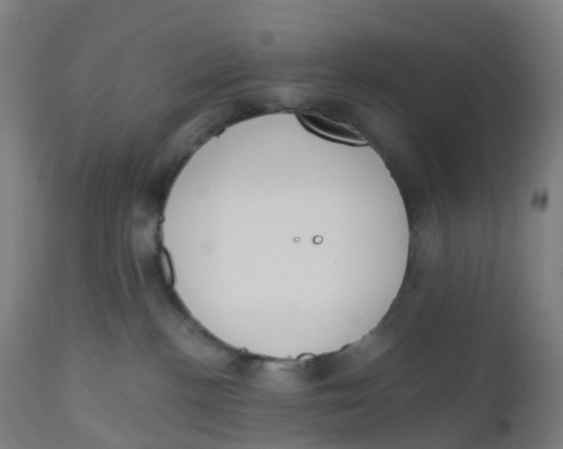 X0000112500188200909071254