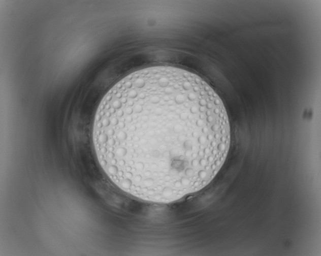 X0000112500189200909071254