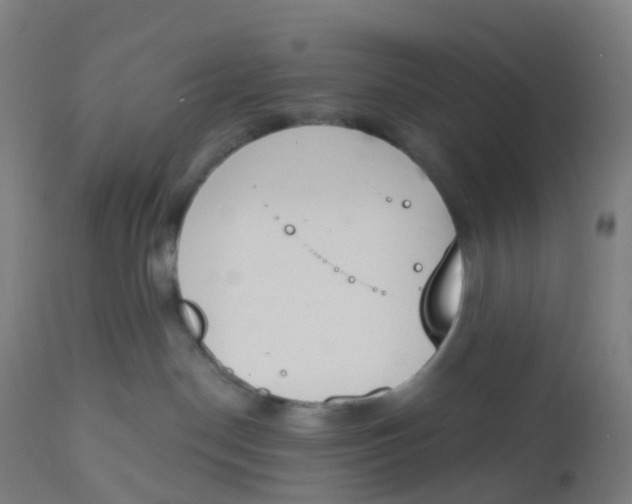 X0000112500190200909071254