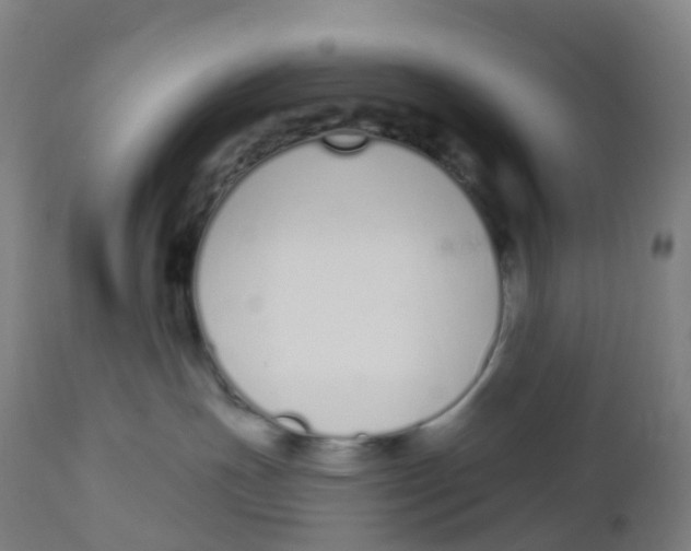 X0000112500191200909071254