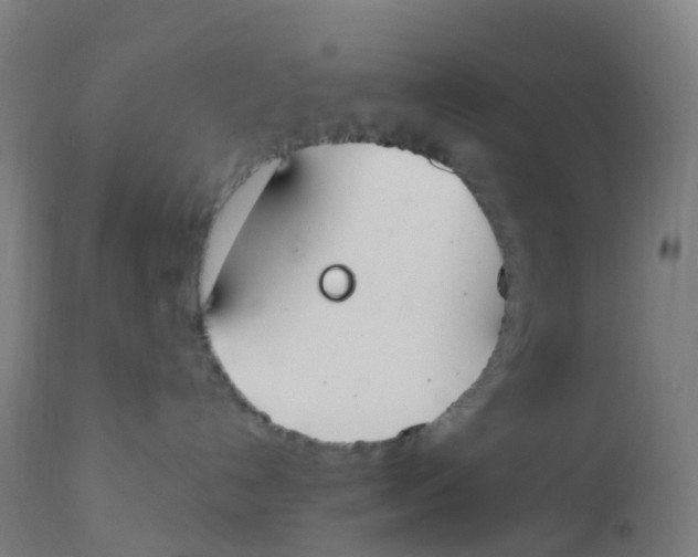 X0000112500192200909071254