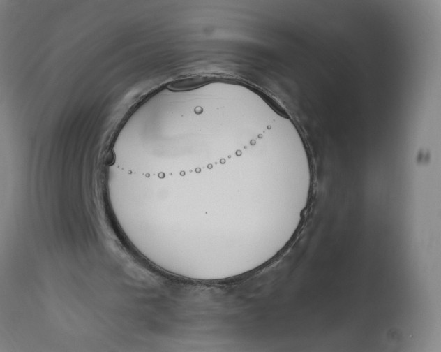 X0000112500193200909071253