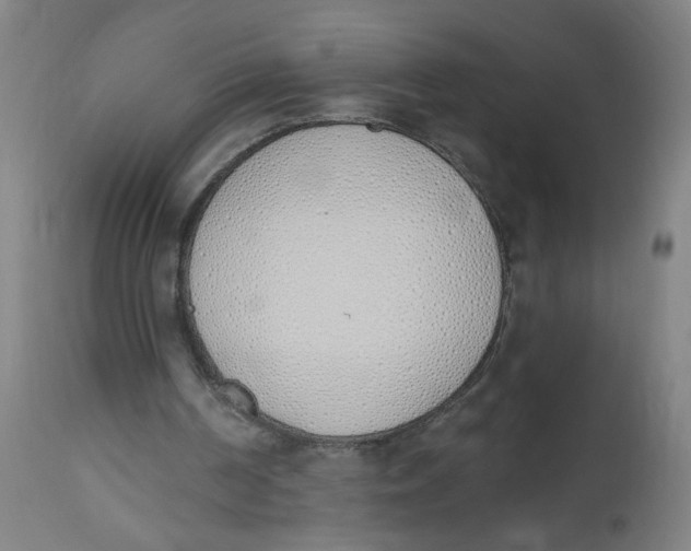 X0000112500194200909071253