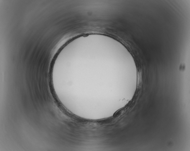 X0000112500195200909071253