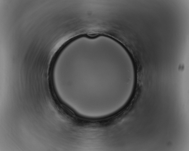 X0000112500196200909071253