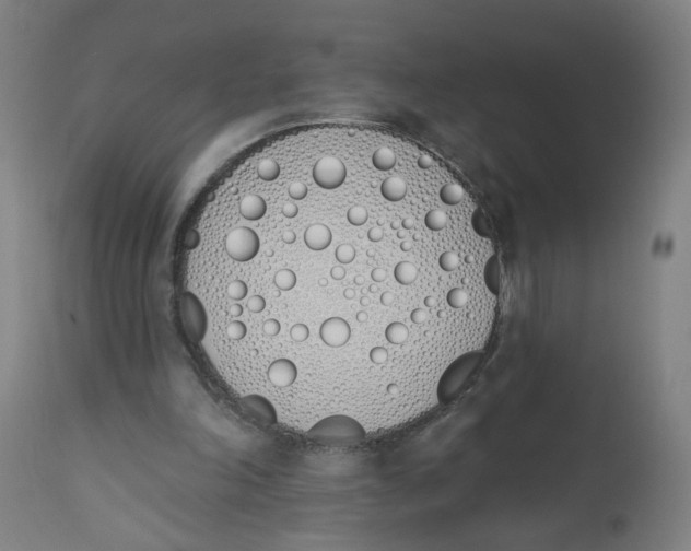 X0000112500198200909071253